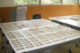 <p>　津市のリサイクルセンターで見つかった１万円札＝２７日午後（同市提供）</p>