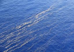 <p>　高知沖で筋状に浮遊する軽石とみられる漂流物＝１０月３１日（第５管区海上保安本部提供）</p>