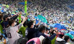 <p>　１万人を上限とする観客数の制限が解除されたプロ野球今季最終戦のヤクルト―広島戦で盛り上がるファン＝１日夜、神宮球場</p>
