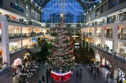 <p>　札幌市の大型商業施設「サッポロファクトリー」で点灯された巨大なクリスマスツリー＝３日午後</p>