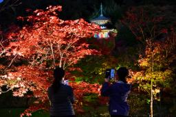<p>　夜の特別拝観「もみじのライトアップ」を前に試験点灯され、浮かび上がった永観堂禅林寺の紅葉＝４日夕、京都市</p>