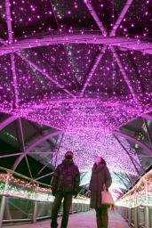 <p>　「フラワーイルミネーション」に設けられた、全長１００メートルの桜をイメージしたトンネル＝１０日夜、鳥取県南部町の「とっとり花回廊」</p>