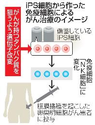 <p>　ｉＰＳ細胞から作った免疫細胞によるがん治療のイメージ</p>