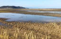 <p>　ラムサール条約に新たに登録された鹿児島県の出水平野にある「出水ツルの越冬地」</p>