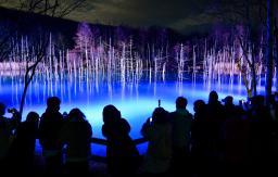 <p>　ライトアップされた北海道美瑛町の観光名所「青い池」。訪れた人たちは光によって変化する神秘的な風景に見入っていた＝１８日夕</p>
