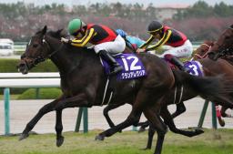 <p>　第３８回マイルチャンピオンシップを制したグランアレグリア（１２）＝阪神競馬場</p>
