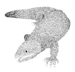 <p>　「モロハサウルス・カミタキエンシス」の復元図（兵庫県立人と自然の博物館提供）</p>