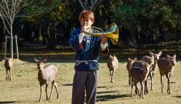 <p>　ホルンの音色で呼び寄せられる奈良公園のシカ＝１日午前、奈良市</p>