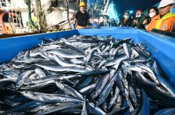 <p>　福島県いわき市の小名浜港で今季初めて水揚げされたサンマ＝９日午前</p>
