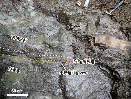 <p>　北海道浦幌町で発見された、約６６００万年前に小惑星が衝突した影響を示す地層の一部（研究チーム提供）</p>