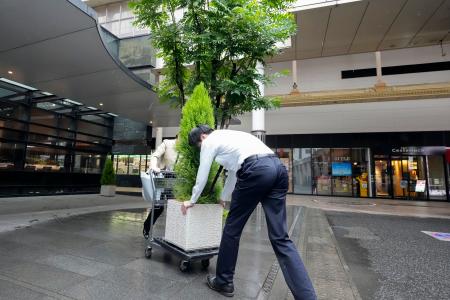 <p>　台風６号接近に備え、植木を移動させるホテルの従業員＝２日午前、鹿児島市</p>