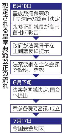 <p>　想定される皇室典範改正の流れ</p>