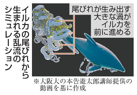 <p>　イルカの尾びれから生まれる乱流のシミュレーション</p>