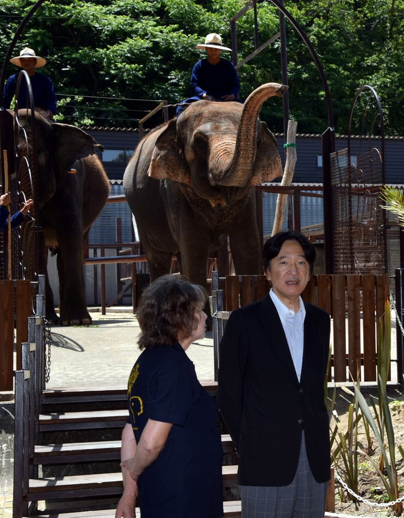 坂本園長(左)に質問されながらゾウをご覧になる秋篠宮さま=19日、市原ぞうの国