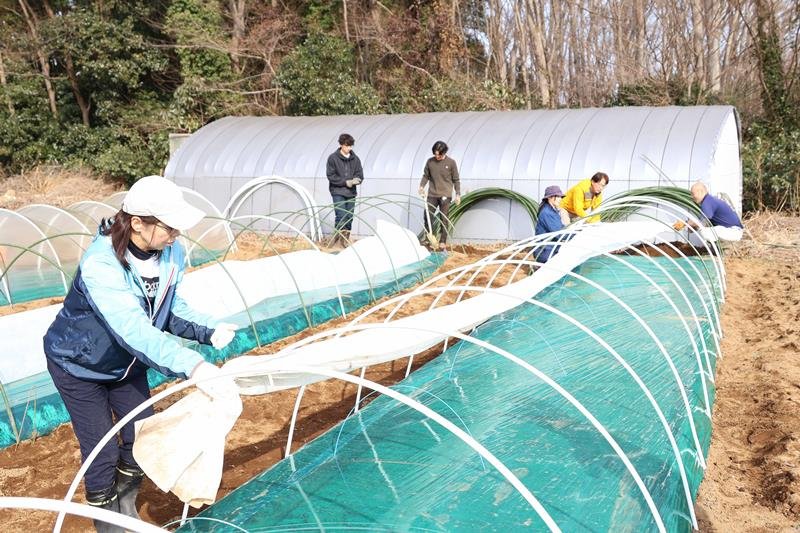 ビニールのトンネル作りなどの農作業を体験する人たち=2月、富里市