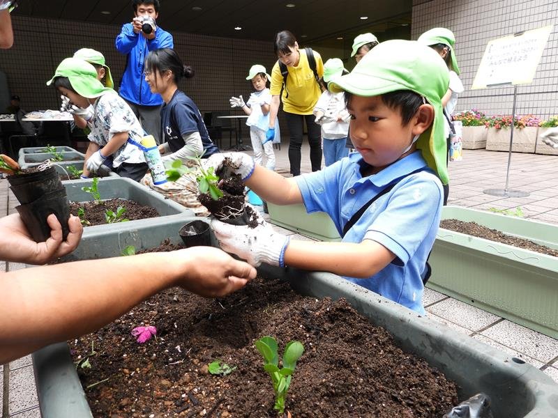 落花生の植え付けを体験する保育園児＝９日、千葉市中央区