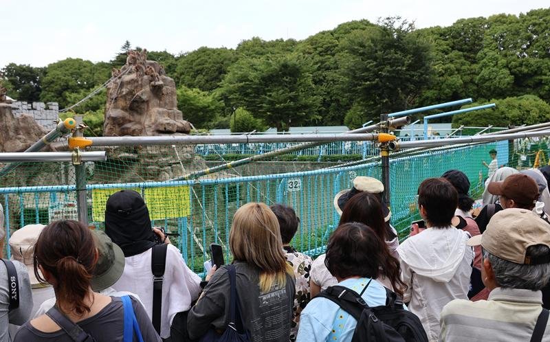 パンチの人気で多くの来園者が集まる市川市動植物園のサル山＝６月、同市（記事と直接関係ありません）
