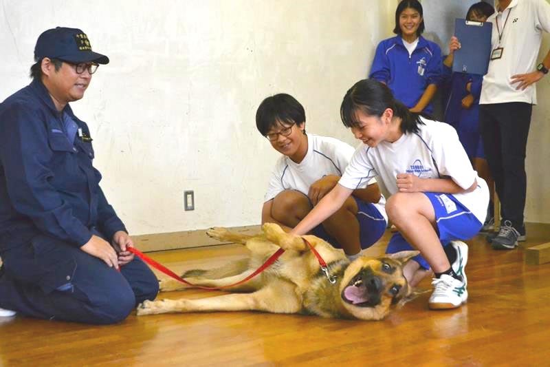 サムネイル画像
