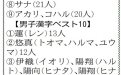 サムネイル画像