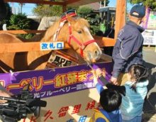 馬来田駅に「馬が来た」　駅名にちなみイベント　「マーくん」１日駅長　木更津