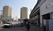 単独の道歩み市制施行　「働く」「育てる」都市目指す　大網白里市【検証ちば　平成の大合併】（４０）番外編