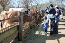 千葉県内４月宿泊　７１１％増７万３２１０人　観光施設も改善　緊急事態の反動で　屋外中心に客足戻る
