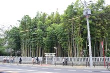 市街地にたたずむ「禁足地」　水戸黄門も立ち寄った？　八幡の藪知らず（市川）　【ふさの国探宝】