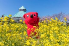 千葉とく旅、関東５県民にも利用拡大　居住証明や３回接種必須　千葉県民の他県宿泊割も開始