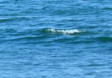 【速報】男子高校生か、２人が心肺停止　排水用管から海に転落　市川