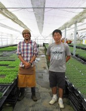 「接木苗」で野菜作り支援　株式会社グラフトワークス（横芝光町）【輝く！千葉の企業　日本政策金融公庫レポート】（９３）