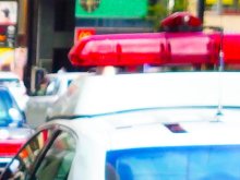 【速報】体長１５０センチの大型犬逃走か　３０人態勢で捜索も見つからず　四街道