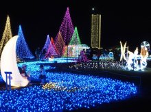 マザー牧場が「妖精の国」に　イルミネーションと富士山夕景が共演　「妖精エリア」も新登場