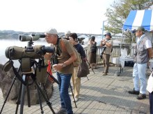 野鳥観察や研究発表　我孫子でバードフェス　４年ぶり本格開催、約１００団体出展　５日まで