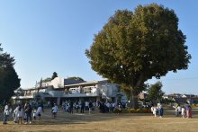 佐倉市立幼稚園の閉園問題　１園継続も大幅定員割れ　存廃議論再燃なら丁寧に　【回顧２０２３　取材メモから】