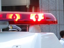 【速報】君津で大型犬逃走か　目撃者から通報