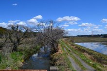 愛される水と桜の名所　マナー守った花見願う　金山落（白井）【ふさの国探宝】