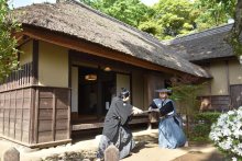竹林の先に江戸時代　気分は侍、再び中心地へ　武家屋敷通り（佐倉市）【一度来てみて　北総・九十九里　観光スポット】（４）