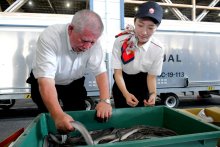 土用の丑の日控え　成田空港、ウナギ輸入ピーク　不漁続き価格に影響
