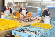 味こだわる漁師の干物　ハワイアン満喫直売所　アルファ（いすみ市）　【ちばの元気企業】