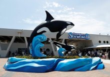 【速報】鴨川シーワールド１６日休館　台風接近に伴い「お客様の安全を考慮」