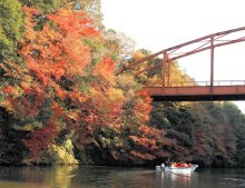 【写真複数あり】房総やっと赤く染まる　紅葉の名所にぎわい　君津・市原・香取
