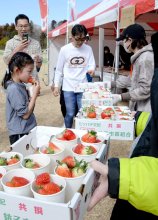 【子ども新聞　週刊ちばにち家】　イチゴ味わい快走　千葉市、特産品ＰＲ　（２０２５年２月２０日号）