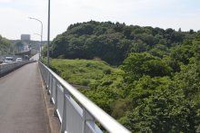 「印旛中央地区」開発計画白紙に　印西市へ反発、発起人会解散　地元困惑「行政の一貫性に欠ける」　【千葉インサイト】