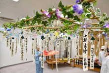 色とりどり、夏彩る　張子とコラボも　香取「風鈴まつり」