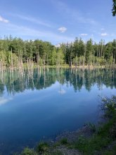 コバルトブルーの世界　北海道・富良野への旅（４）　【鳥光宏の旅と文学】（１５）