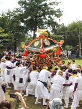 【動画あり】「やわたんまち」勇壮に　千年続く大祭激しい「もみ」「さし」歓声　館山