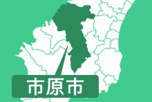 【速報】市原ぞうの国、飼育員が死亡　おり内でゾウと接触か　「踏まれて意識がない」と１１９番通報