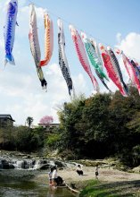 こいのぼり、悠々と　黒原不動滝　大多喜