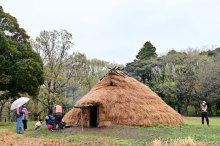 火起こしで安全祈願　千葉市加曽利貝塚　竪穴住居新築　３日から公開「縄文感じて」