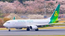 成田空港染める桜